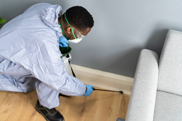 Best Residential Pest Control  in Hickory Creek, TX